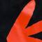 alt-tag